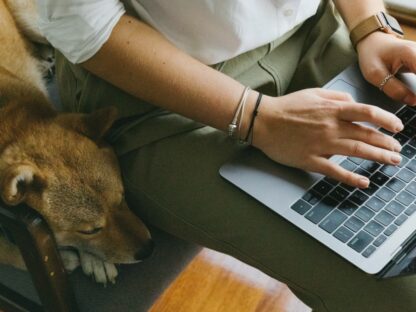 How-to-Captivate-Your-Readers-with-Sensory-Language_24F_.jpg