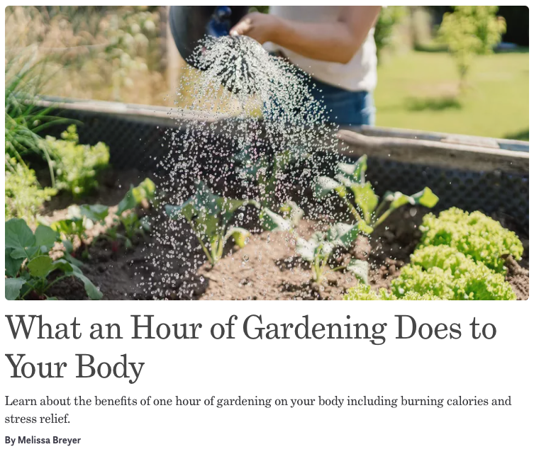 Hero image of a gardening blog post showing a person watering leafy greens in a raised garden bed. Post title: “What an Hour of Gardening Does to Your Body.”